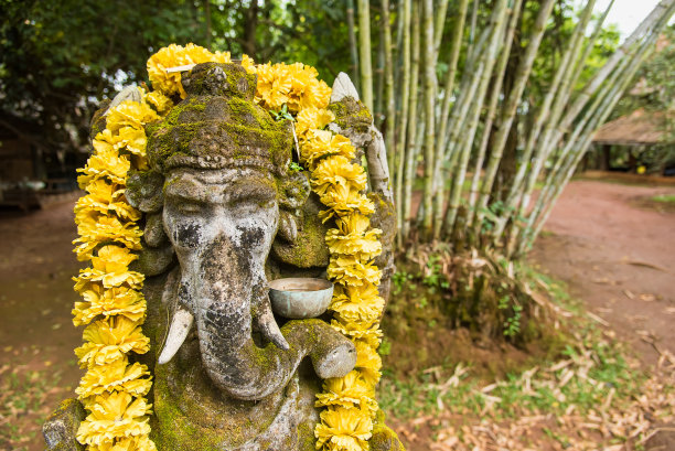 在泰国的公园里，被苔藓覆盖的甘尼萨。图片下载