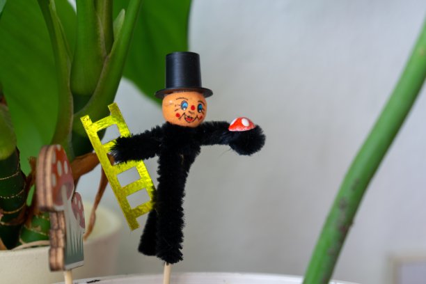 烟囱清扫器装饰在花盆里。图片下载