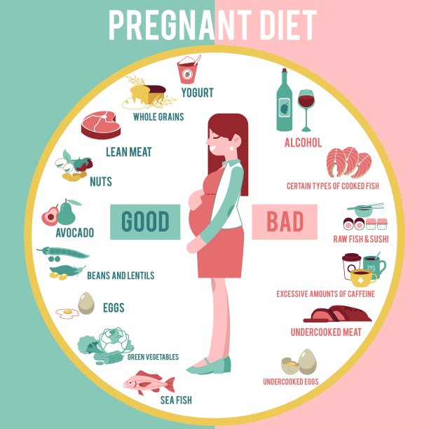 向量孕妇饮食概念女人肚子图片下载