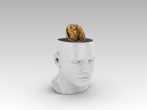 人脑与核桃- 3D渲染图片下载