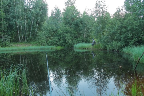 渔夫在湖上钓鱼图片下载