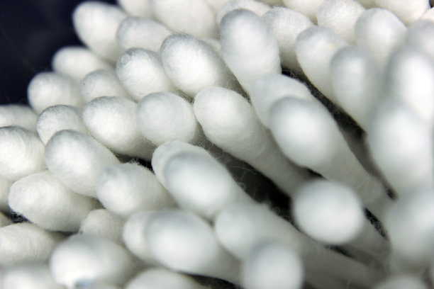 棉拭子芽图片下载