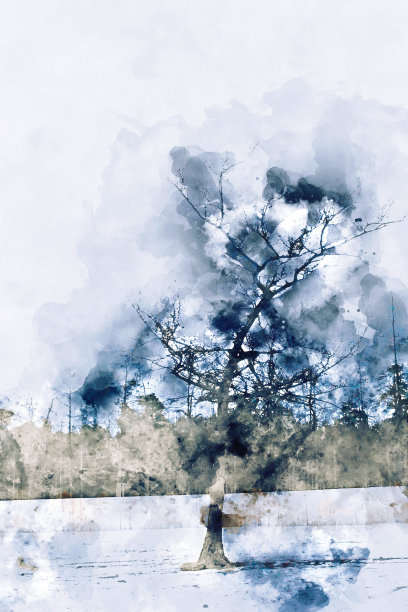 数字画的松树在冬天，插图松树为背景图片下载