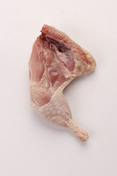 生鹌鹑肉在白色的背景图片下载