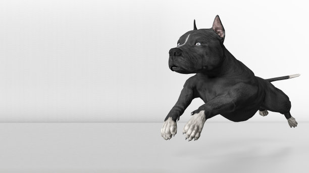 斗牛犬奔向目标全速3d渲染图片下载