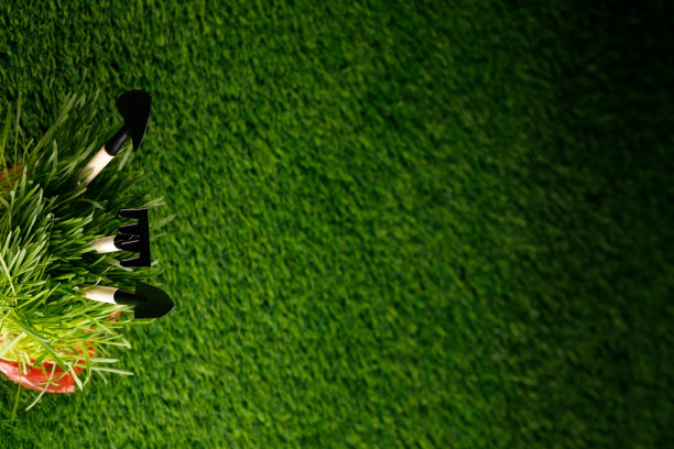 结合园艺设备和绿色草地上的文字空间构成。图片下载