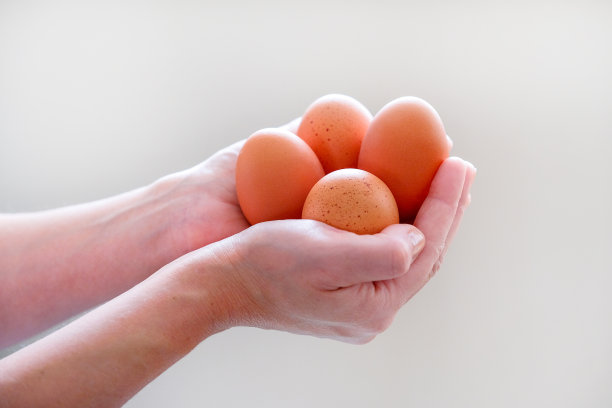女人的掌心里有鸡蛋。早餐吃鸡蛋煎蛋卷。图片下载