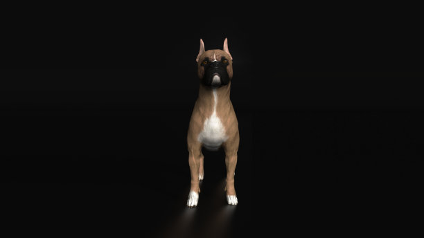 拳击手品种正面视图全身3d渲染图片下载