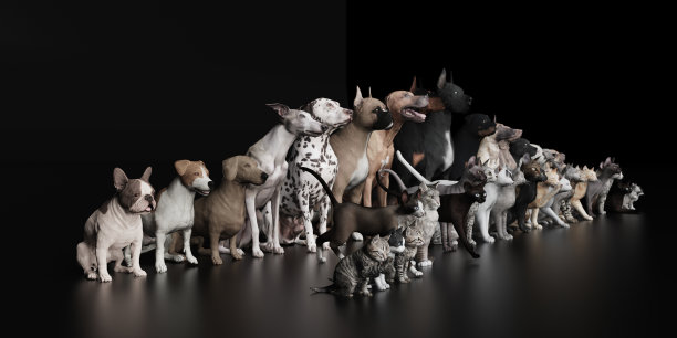 猫坐在狗的3d渲染图片下载