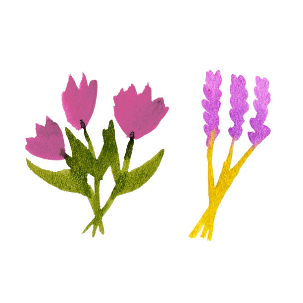 水彩紫花集。手绘插图图片下载