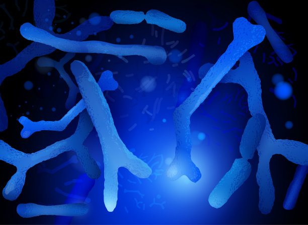 双歧杆菌属水平图像图片下载