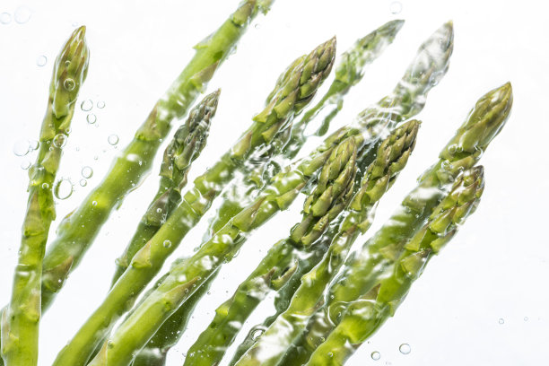 鲜绿asapalagas图片下载