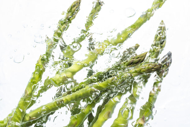 鲜绿asapalagas图片下载