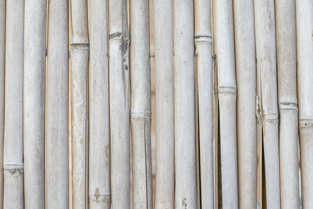 几根竹竿在一排背景的特写图片下载