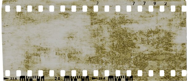 带有破旧爬行动物皮肤纹理的胶片条框。图片下载