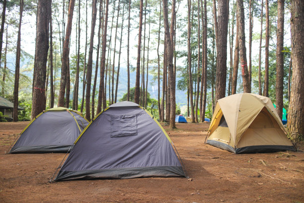 在森林里露营图片下载