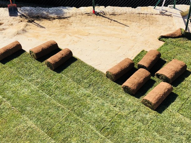 新草坪正在铺设图片下载