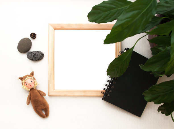 平躺模型，俯视图，木制框架，玩具松鼠，植物，记事本。室内布局，方形海报模型，木框，绿叶，白色背景。复古模板海报，图片，艺术绘画图片下载
