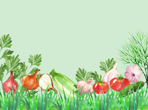 食物框架与蔬菜水彩图片下载