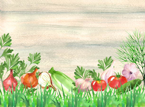 素菜背景与蔬菜水彩图片下载