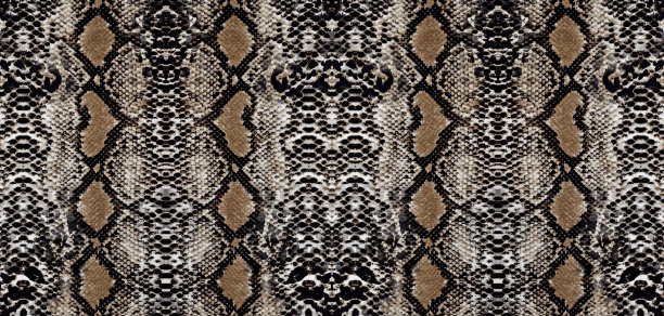 新的蛇皮图案背景设计图片下载
