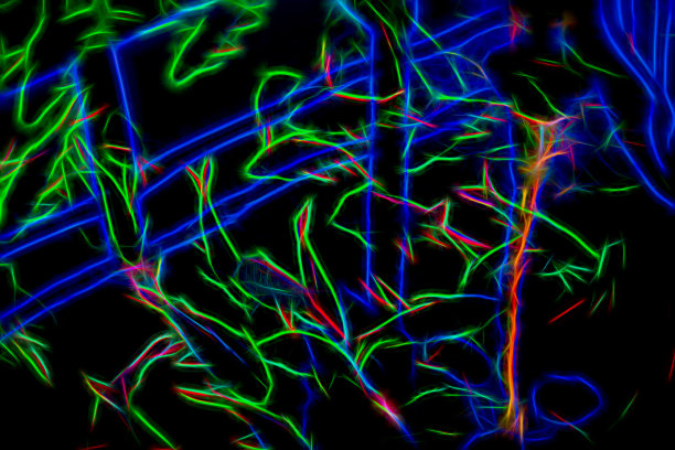 鱼在霓虹灯下游动图片下载