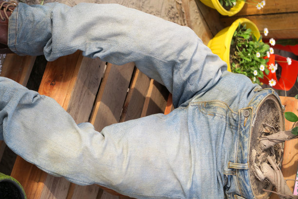 图片显示不寻常的蓝色牛仔花容器种植在花园长凳上在夏天，稻草人裤腿牛仔裤种植盆栽无花果树盆栽(无花果小果人参)和雏菊在黄色的花盆图片下载