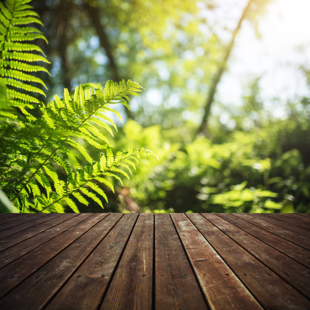木地板和仙女木的背景图片下载