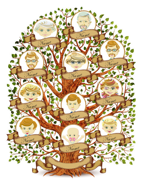 家庭树模板矢量插图图片下载