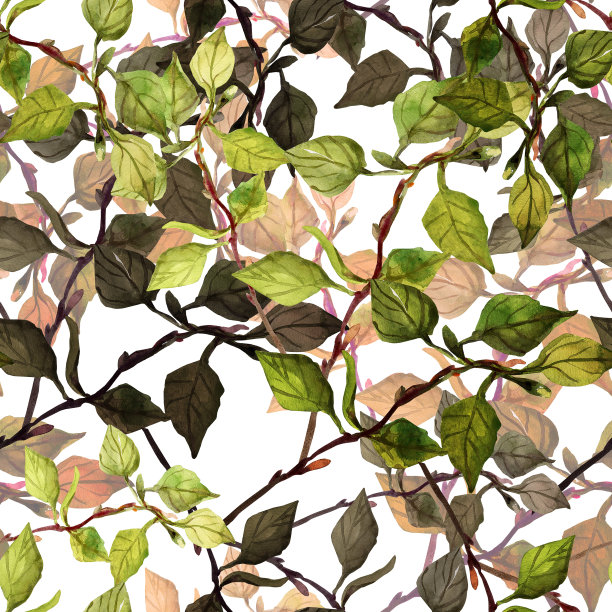 春天的分支。图片下载