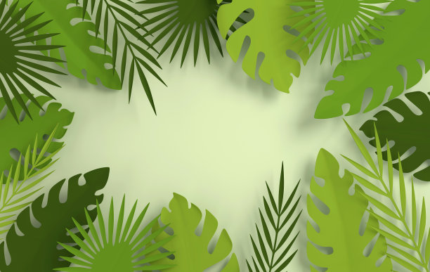 热带棕榈叶纸框架。夏季热带绿叶。折纸异国情调的夏威夷丛林树叶，夏季背景。剪纸。最小的风格。三维渲染图片下载