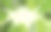 热带棕榈叶纸框架。夏季热带绿叶。折纸异国情调的夏威夷丛林树叶，夏季背景。剪纸。最小的风格。三维渲染图片下载