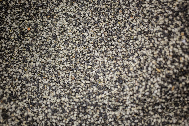 石头的全帧拍摄图片下载