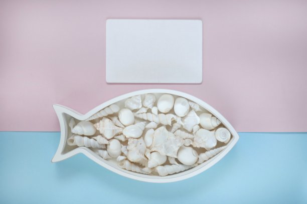 夏季的概念。夏天的时间。其他海洋。鱼框架与白色贝壳在蓝粉色组合背景图片下载