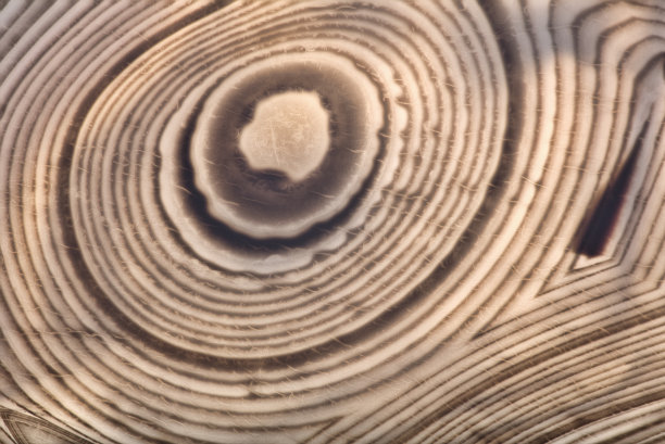 玛瑙色浅褐色同心线图片下载