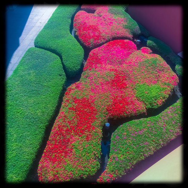 春季花园高角度景观图片下载