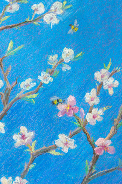 部分蜡笔画在纸上“盛开的树枝对着蓝天。”春天”。图片下载