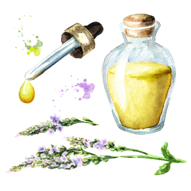马鞭草精油套装水彩手绘插画图片下载