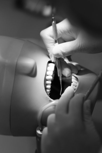 在人体模型上进行牙科教育图片下载