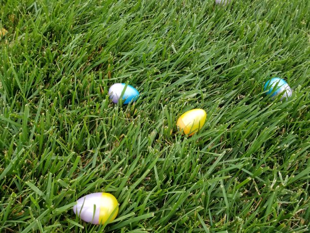 寻找复活节彩蛋图片下载