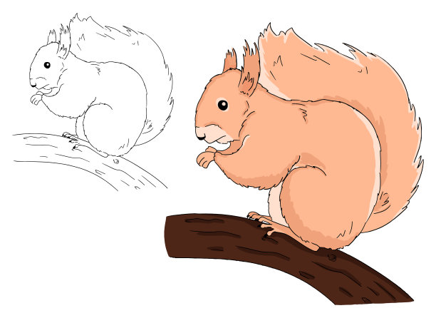 白色背景上的松鼠坐在树枝上的插图。矢量手绘艺术为儿童着色书。图片下载