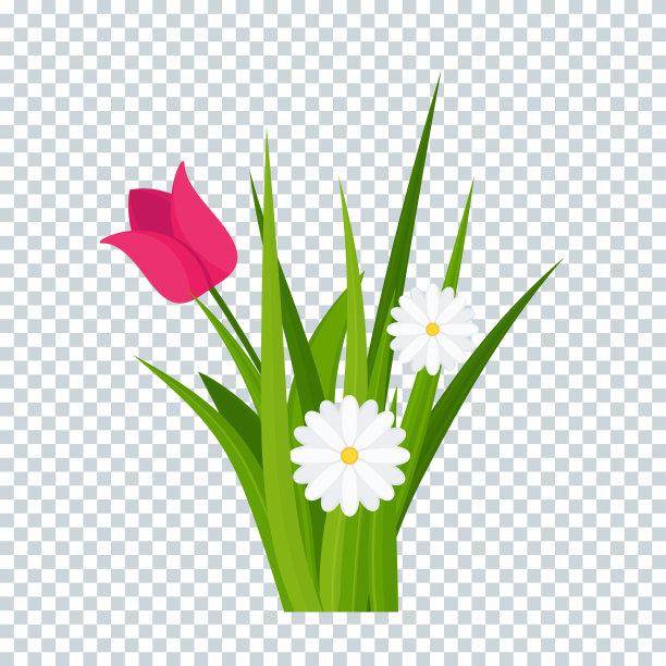 雏菊和郁金香在绿色的草地上透明的背景图片下载