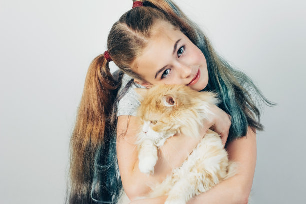 可爱的女孩与尾巴在她的手西伯利亚猫在灰色的背景。图片下载
