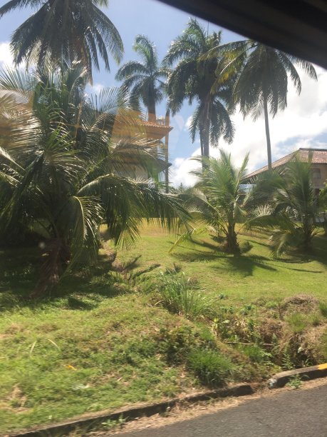 巴拿马野生自然图片下载