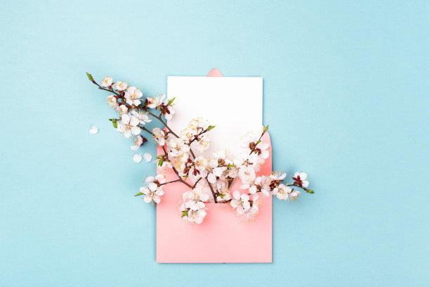 粉红色的信封里装着春花。图片下载