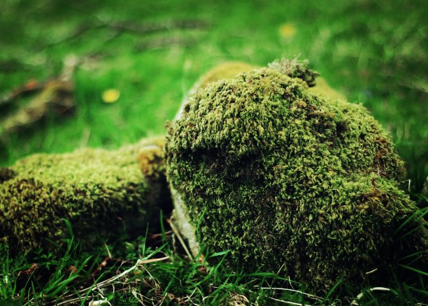 岛的考虑图片下载