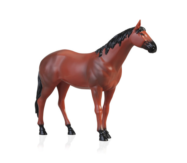 动物塑料马玩具孤立在白色背景。图片下载