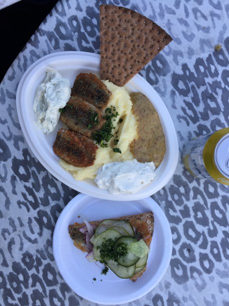 漫游与斯特罗姆图片下载