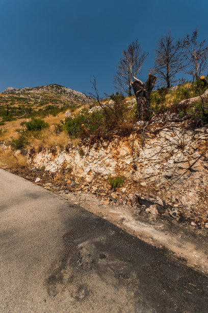 美丽的达尔马提亚海岸，特拉斯尼克，达尔马提亚，克罗地亚，佩列沙茨半岛图片下载