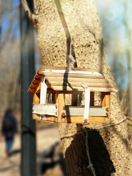 在春天阳光明媚的洞穴里，树上的小鸟和松鼠的饲料。特写镜头。模糊的背景。库存图片图片下载